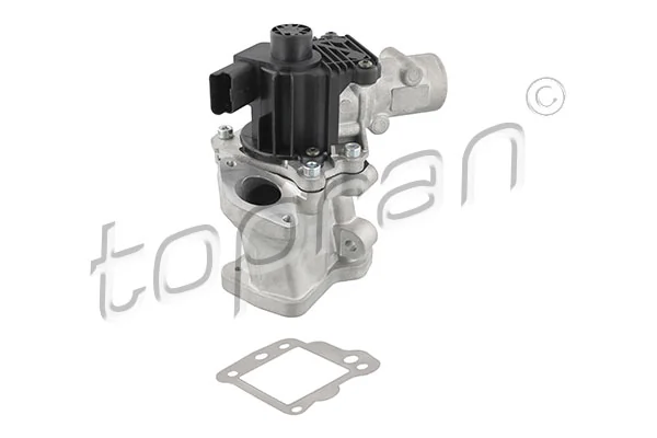 EGR Valve