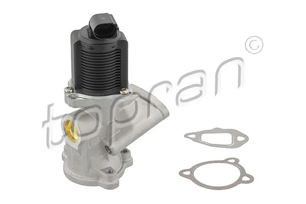 EGR Valve