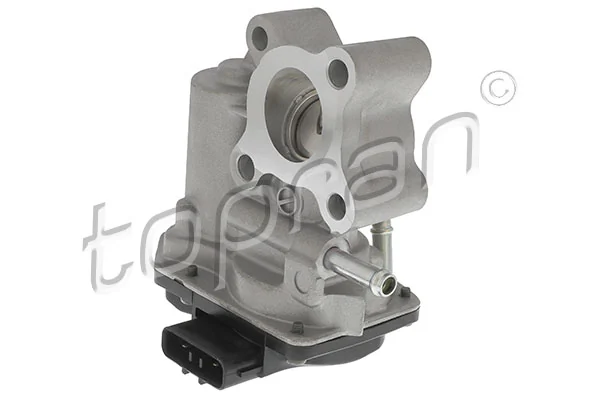 EGR Valve