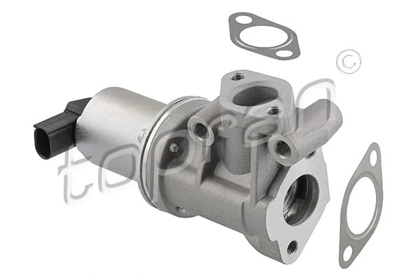 EGR Valve
