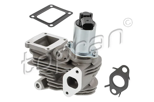 EGR Valve