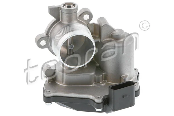 EGR Valve