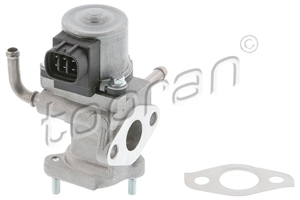 EGR Valve