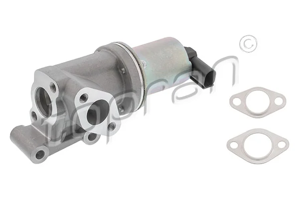 EGR Valve