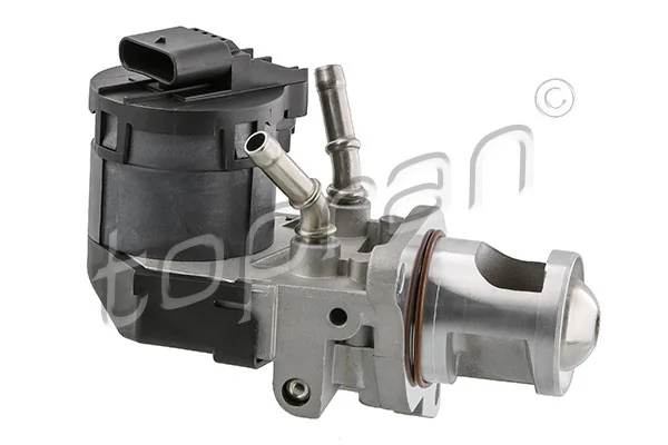 EGR Valve