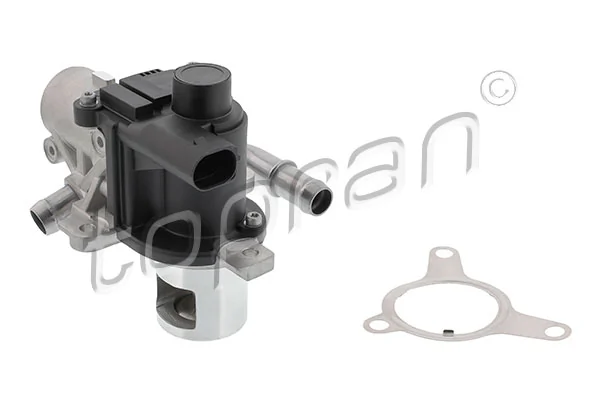EGR Valve