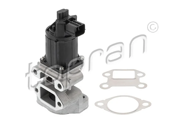 EGR Valve