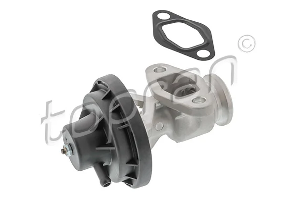 EGR Valve