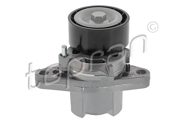 Belt Tensioner, V-ribbed belt