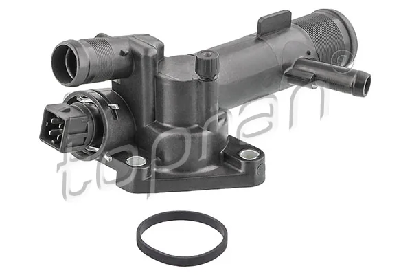 Thermostat, coolant
