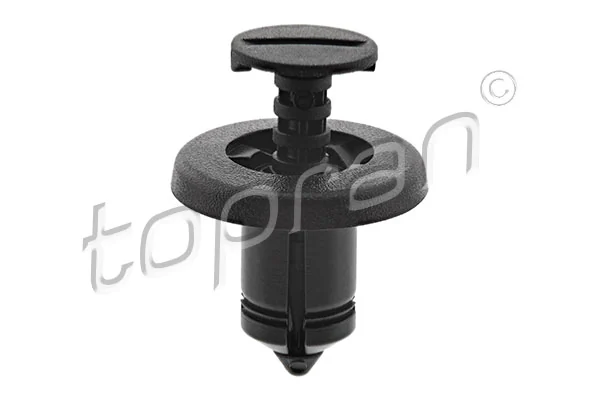 Expanding Rivet