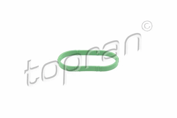 Gasket, intake manifold