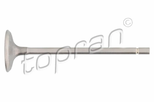 Intake Valve
