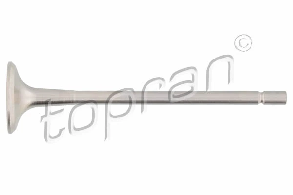 Exhaust Valve