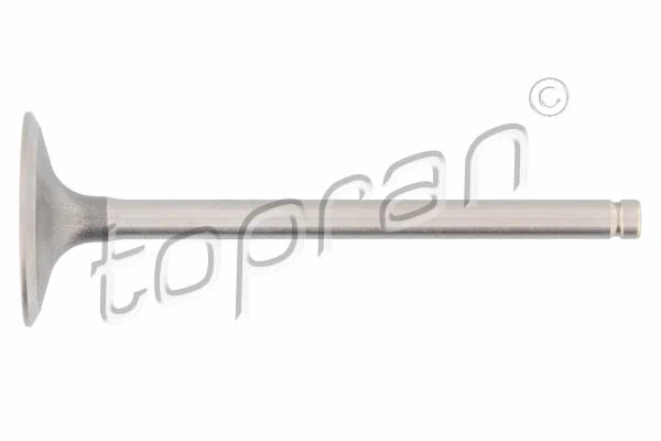 Intake Valve