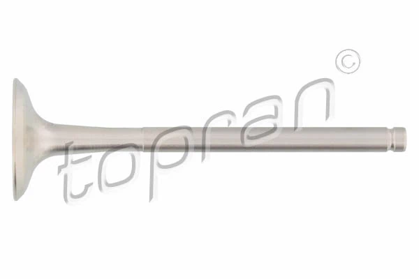 Exhaust Valve