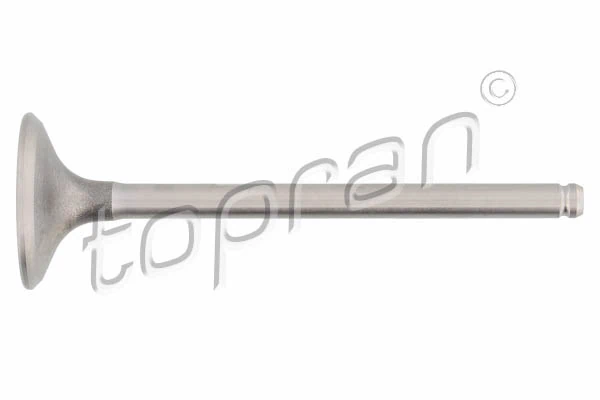 Intake Valve
