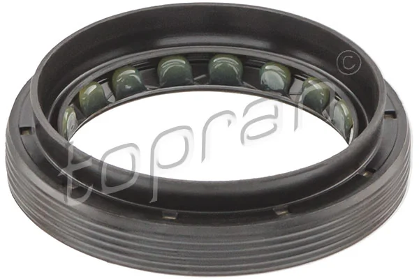 Shaft Seal, differential