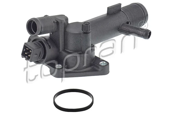 Thermostat, coolant