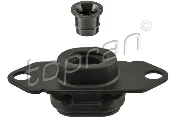 Mounting, engine