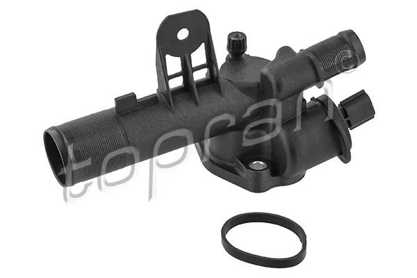 Thermostat, coolant