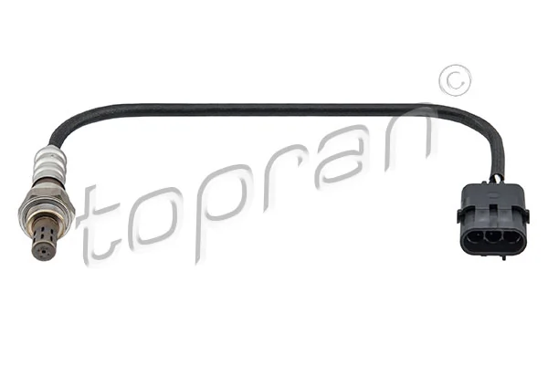 Oxygen Sensor