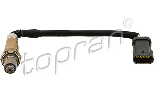 Oxygen Sensor