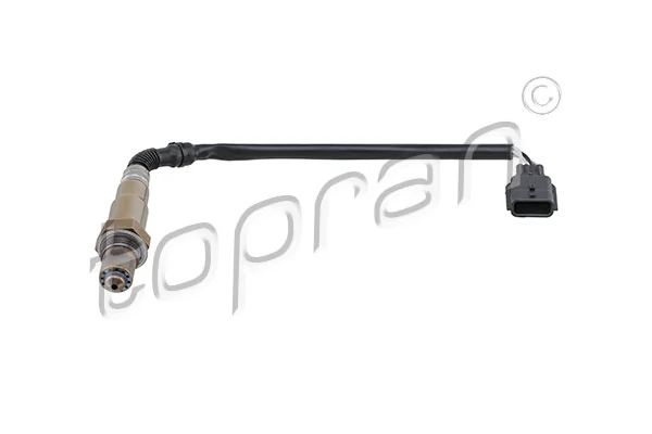 Oxygen Sensor