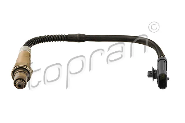 Oxygen Sensor