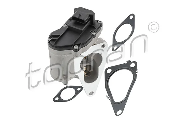 EGR Valve