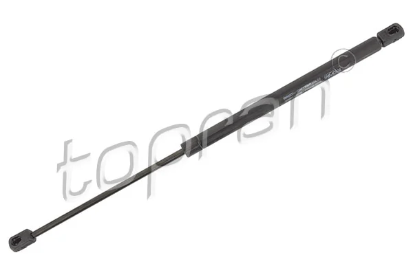 Gas Spring, boot/cargo area