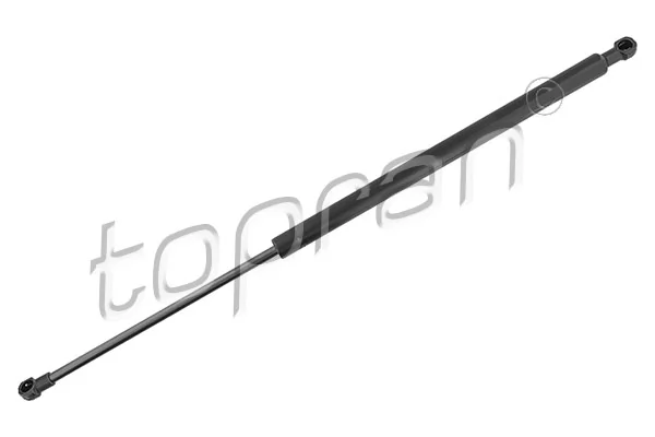 Gas Spring, boot/cargo area