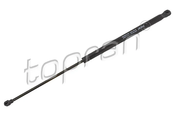Gas Spring, boot/cargo area