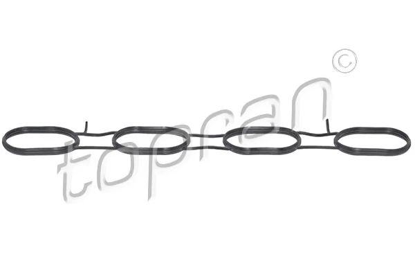 Gasket, intake manifold