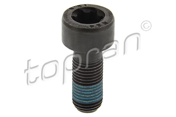 Flywheel Bolt