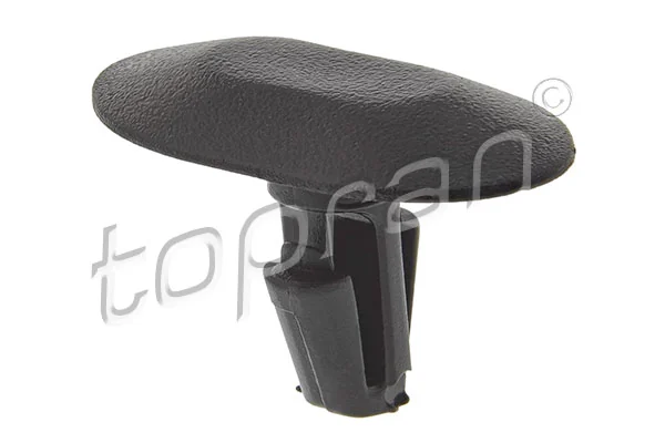 Retaining Clip, door panel