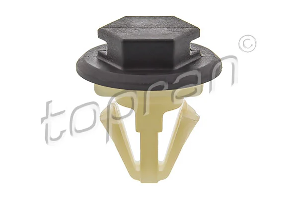 Clip, trim/protection strip