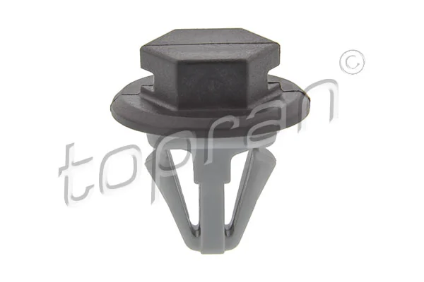 Clip, trim/protection strip