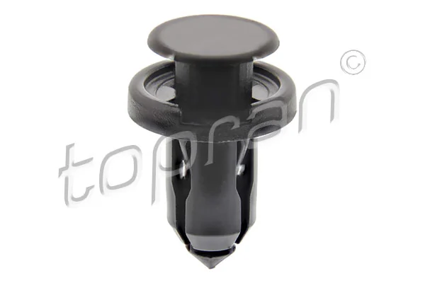 Expanding Rivet
