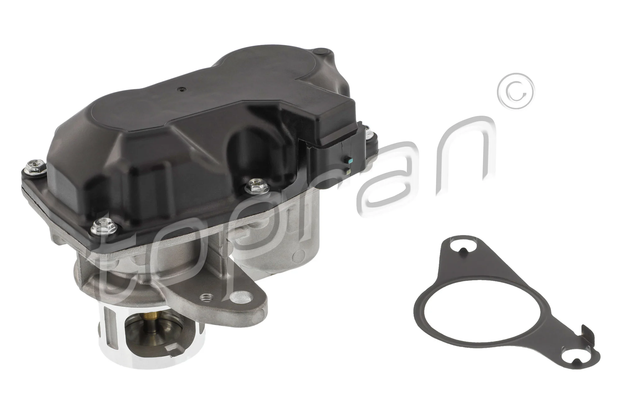 EGR Valve