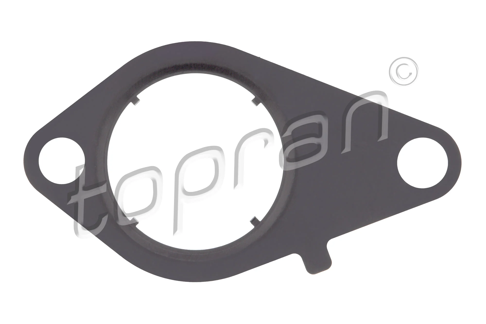 Gasket, EGR valve