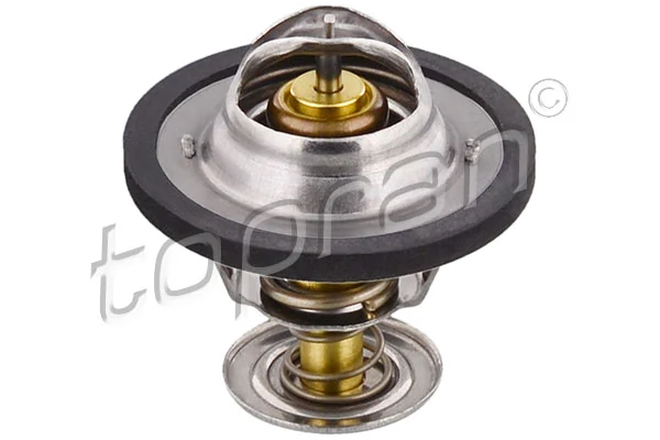 Thermostat, coolant
