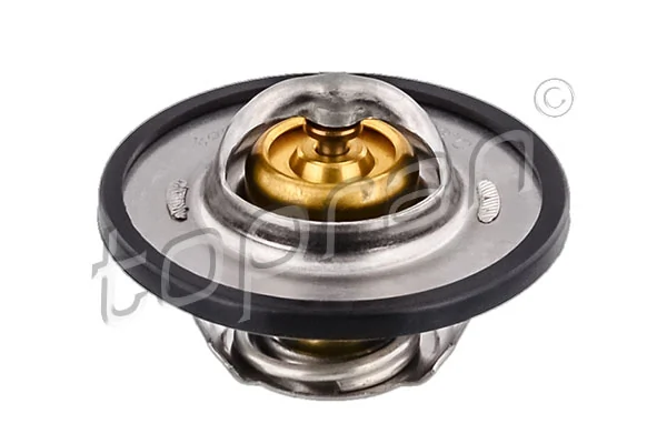 Thermostat, coolant