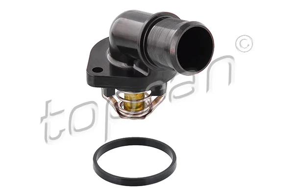 Thermostat, coolant