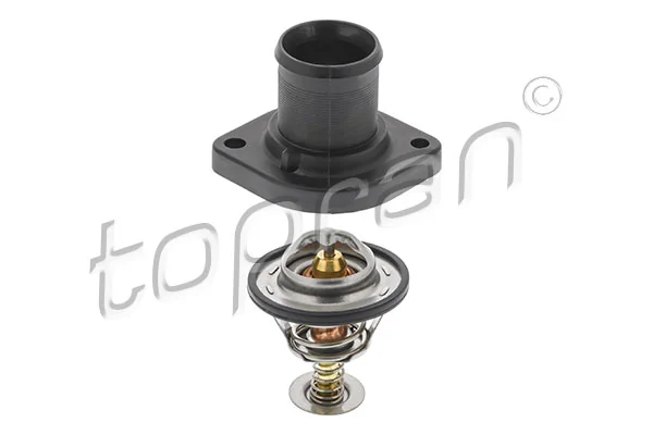 Thermostat, coolant