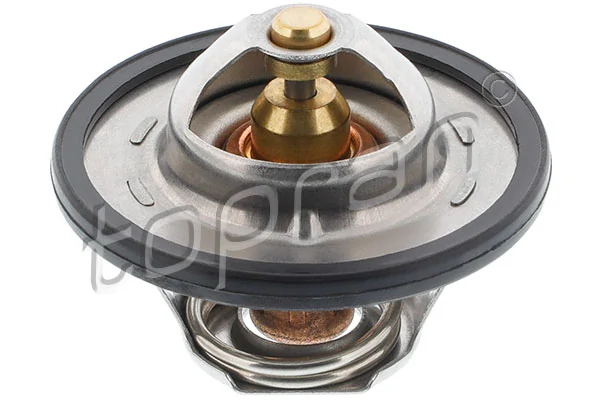 Thermostat, coolant