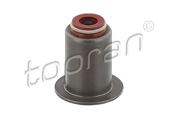 Seal Ring, valve stem