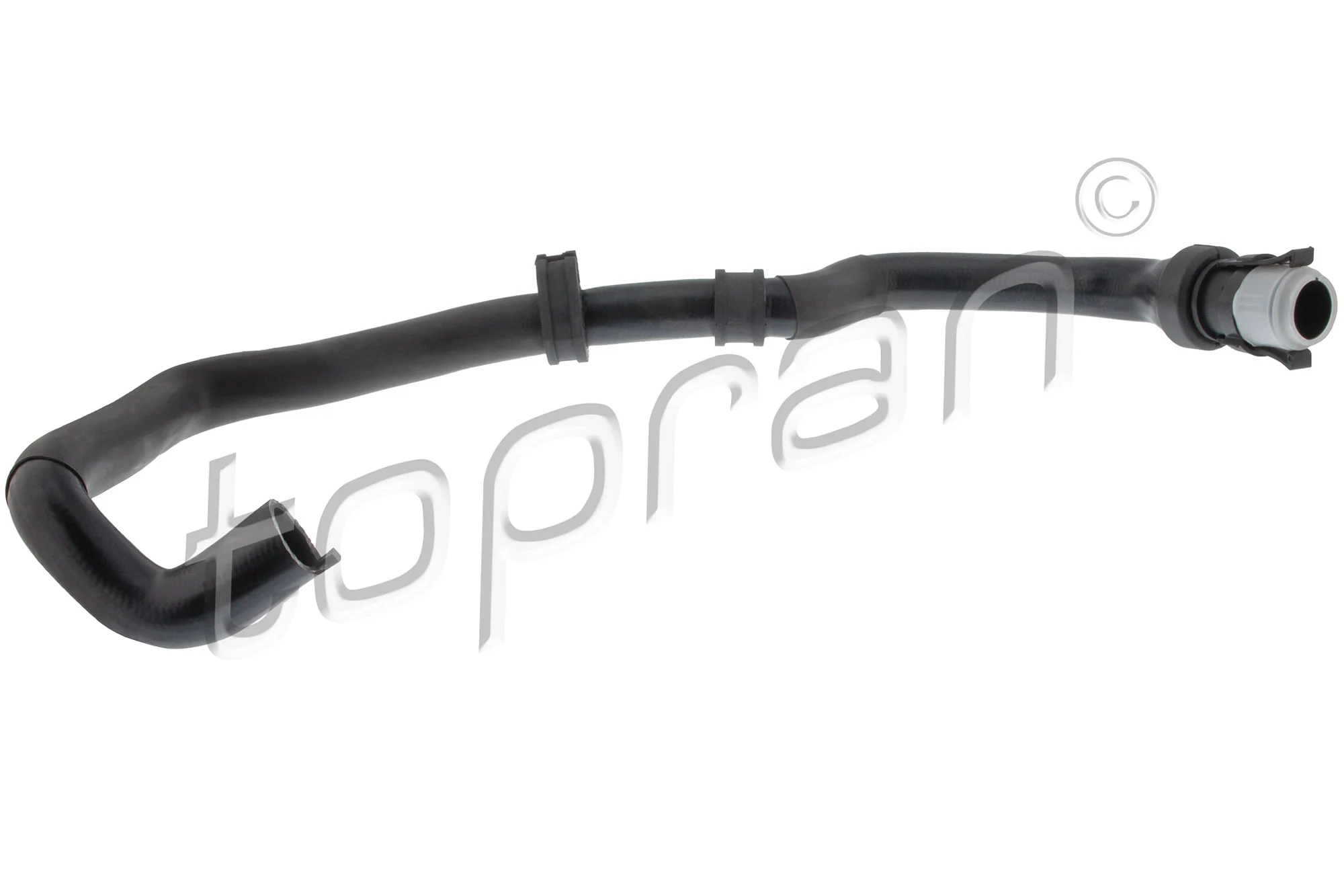 Radiator Hose