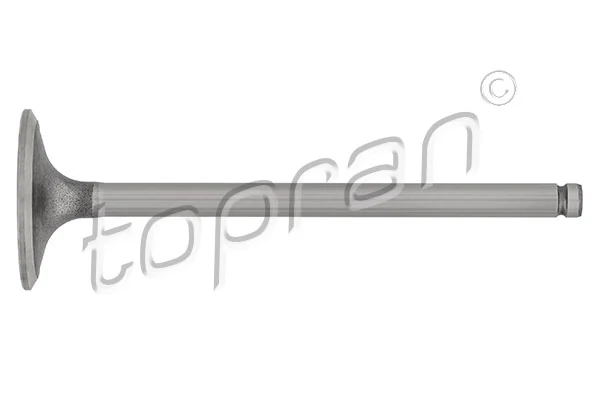 Intake Valve