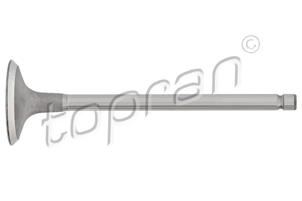 Intake Valve
